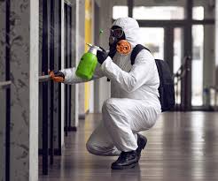 Best Commercial Mold Inspection in Leesport, PA